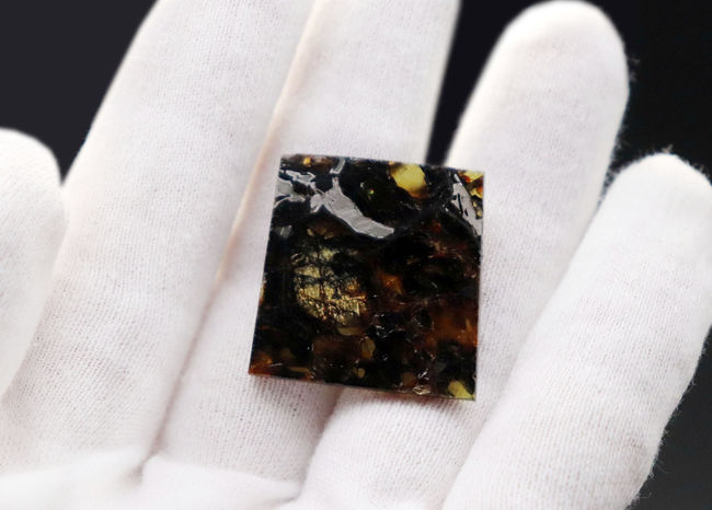 「素晴らしい」という名前が付けられた米国カンザス州産のパラサイト隕石、アドミア隕石（Admire meteorite）。専用ケース付き（その3）