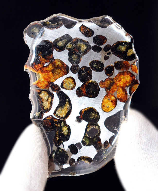 美しいかんらん石にご注目！２０１６年に発見された新しいパラサイト隕石、ケニヤ産パラサイト隕石。専用保管ケース付き。（本体防錆処理済み）（その2）