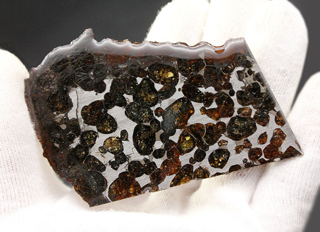 かんらん石の保存状態が素晴らしい！２０１６年に発見された新しいパラサイト隕石、ケニヤ産パラサイト隕石（本体防錆処理済み）（その5）