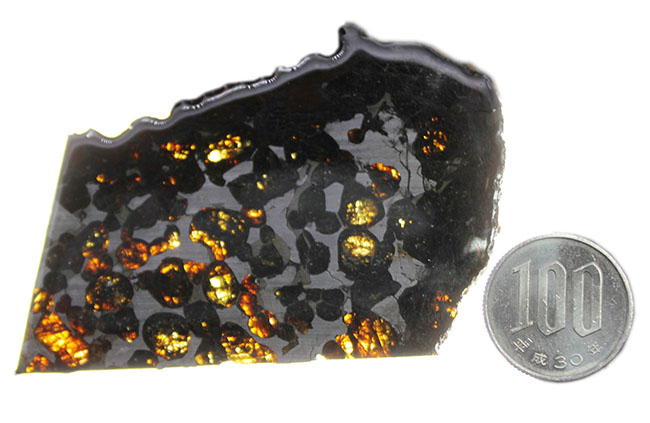 かんらん石の保存状態が素晴らしい！２０１６年に発見された新しいパラサイト隕石、ケニヤ産パラサイト隕石（本体防錆処理済み）（その7）