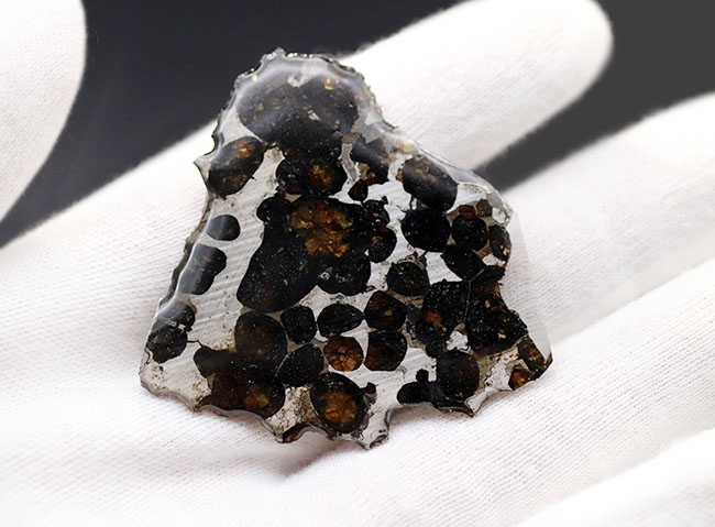 極めて上質、ナイスピース！２０１６年に発見された、新しいケニヤ産パラサイト隕石（本体防錆処理済み）（その5）