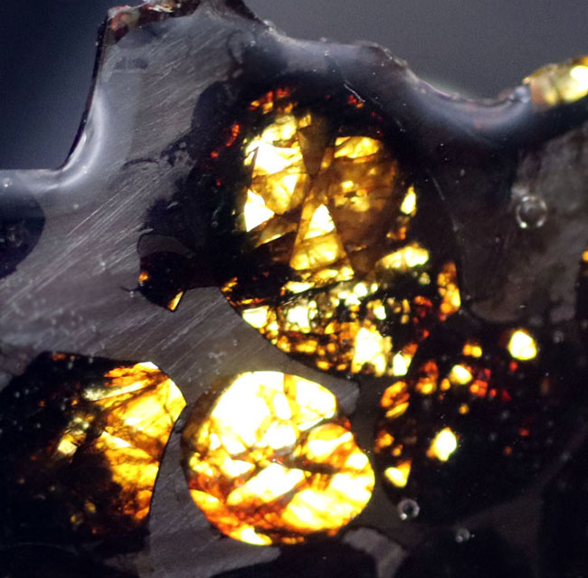 極めて上質、ナイスピース！２０１６年に発見された、新しいケニヤ産パラサイト隕石（本体防錆処理済み）（その7）