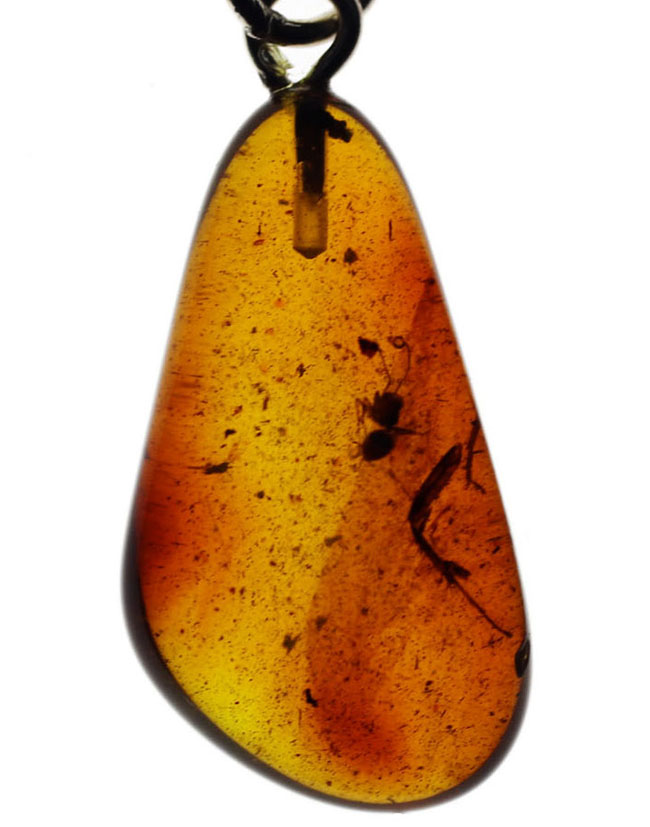 世界最古の宝石の一つ！４０００万年前の針葉樹の樹液に起源をもつバルティックアンバーを使ったペンダントトップ（シルバーチェーン、高級ジュエリーケース付き。）バルト海産。（その1）