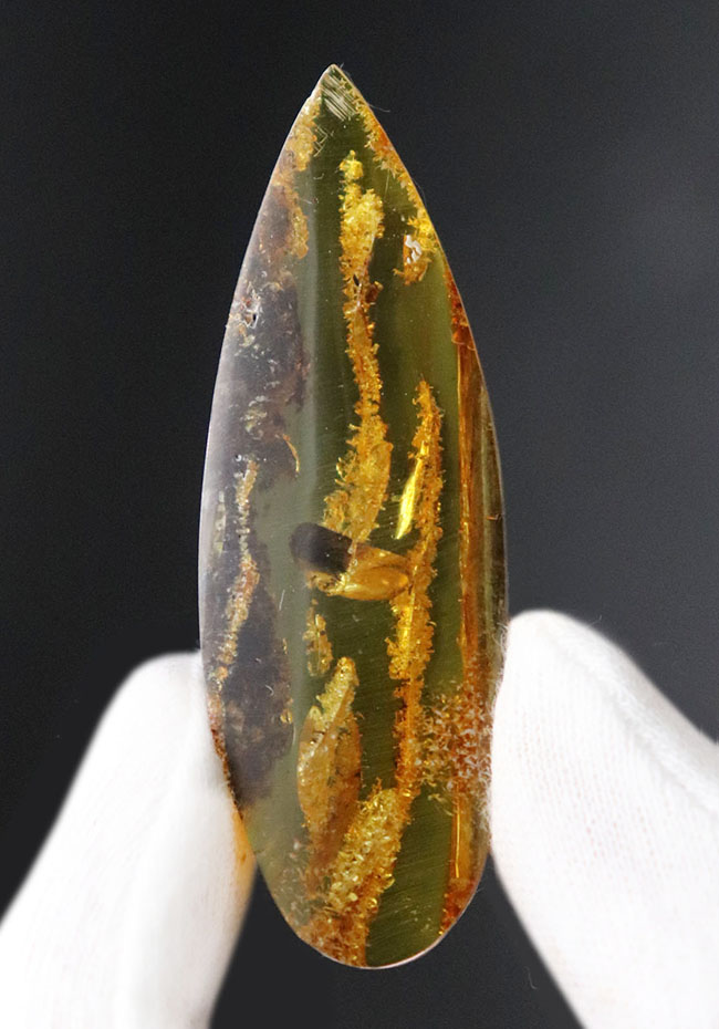 ビッグサイズ！ミズナラやオークの雄花の化石である「星状毛」を多数内包したバルト海産琥珀（Amber）（その9）