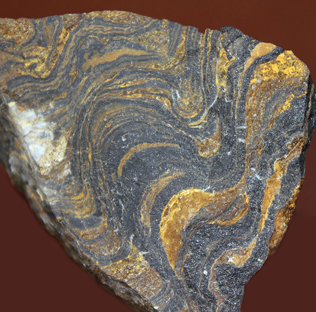 ナチュラルな味わい、縞状層を確認できるボリビア産ストロマトライトの原石（その1）