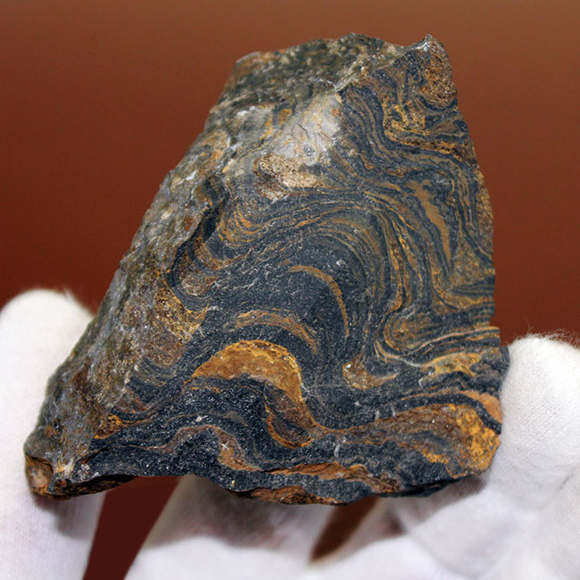 ナチュラルな味わい、縞状層を確認できるボリビア産ストロマトライトの原石（その3）