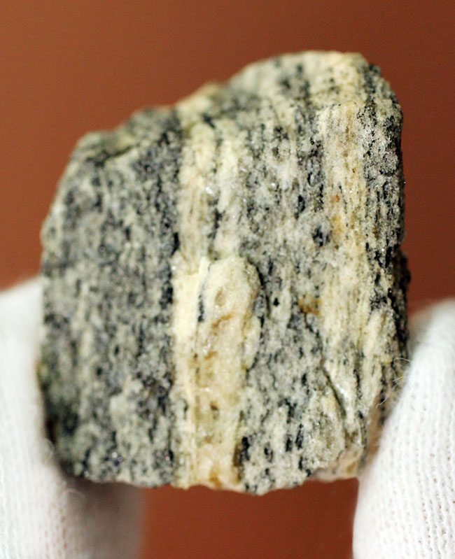 地球上で最も古い石の一つ、アカスタ片麻岩（その1）