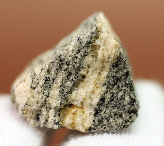 地球上で最も古い石の一つ、アカスタ片麻岩（その5）