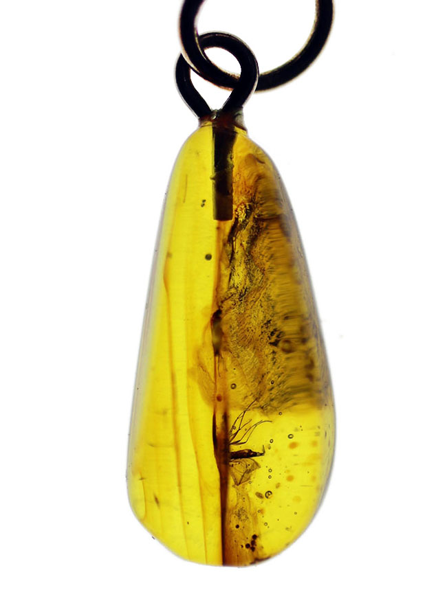 人類最古のジュエリーの一つ、古代の虫が内包された、バルト海産琥珀（Amber）を使ったペンダントトップ（シルバーチェーン、高級ジュエリーケース付き。）（その1）
