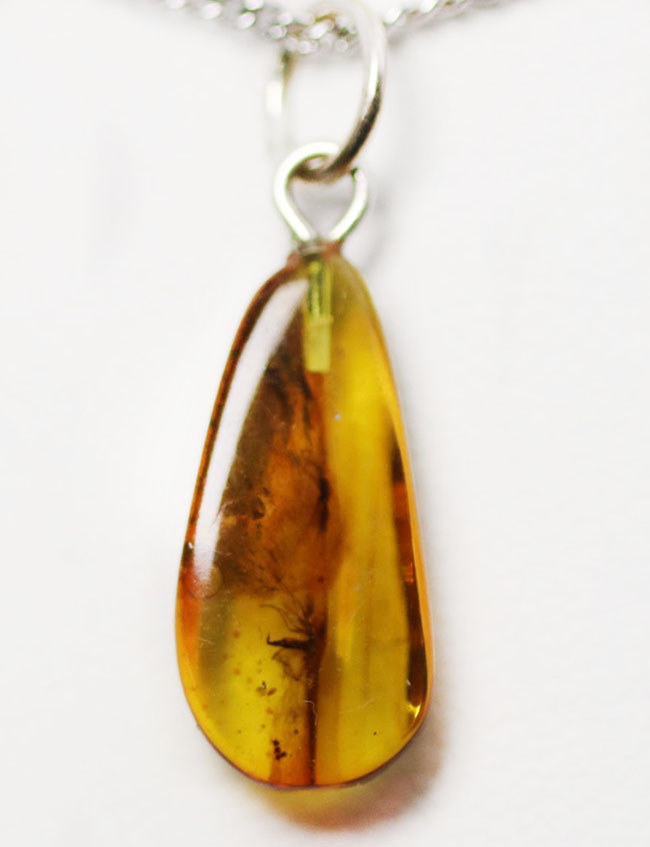人類最古のジュエリーの一つ、古代の虫が内包された、バルト海産琥珀（Amber）を使ったペンダントトップ（シルバーチェーン、高級ジュエリーケース付き。）（その4）