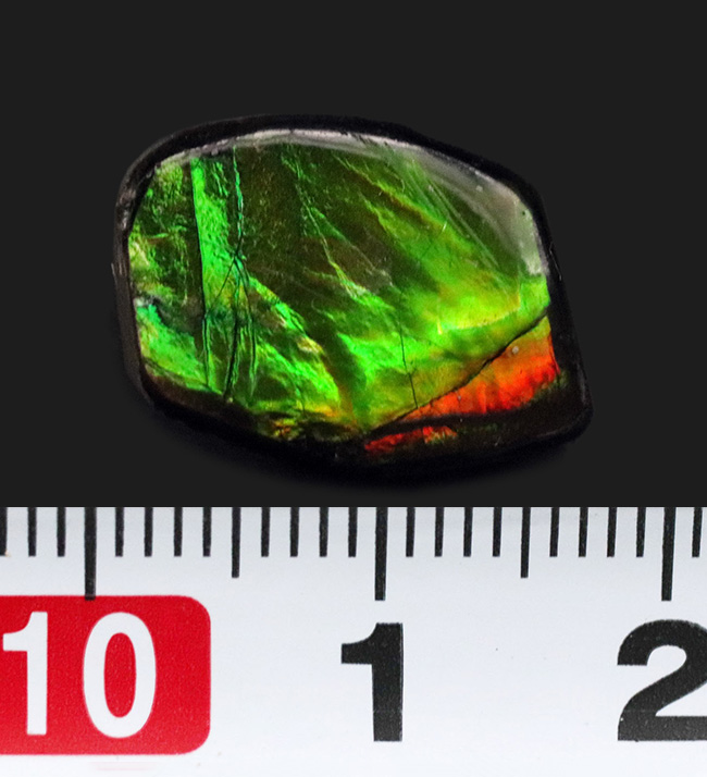 個性的なアイテム！鮮やかなグリーンを呈するアンモライト（Ammolite）の原石を使ったピンブローチ（その6）