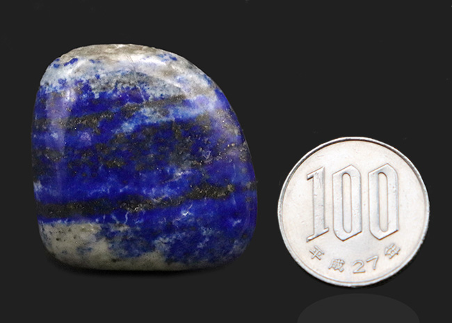 ラズライトの濃いブルーに加えて、黄鉄鉱によるゴールド、方解石のホワイトなど、様々な色を呈する、美しい天然ラピスラズリ（Lapis lazuli）のポリッシュ標本（その8）