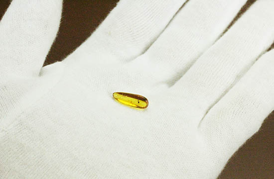 虫の見え方が印象的!非常に透明度の高いバルト海産琥珀(その5)