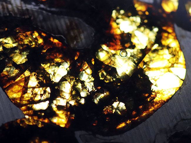 透明度の高いかんらん石が作り出す黄金の輝き！ケニヤ・セリコ産、２０１６年に発見された新しいパラサイト隕石（本体防錆処理済み）（その8）