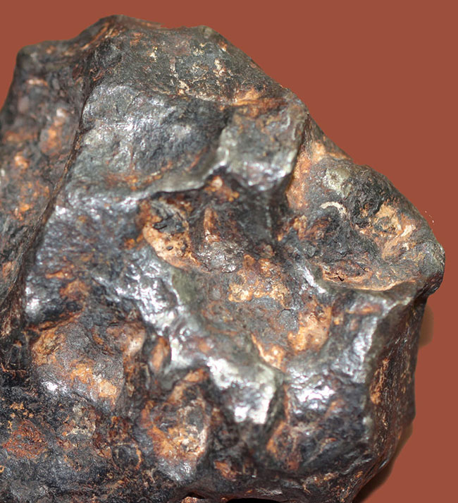 鉄隕石（Iron Meteorite）をコレクションしたい人に朗報！落下地点、落下年不詳ゆえ、お値打ち価格でのご紹介。（その3）
