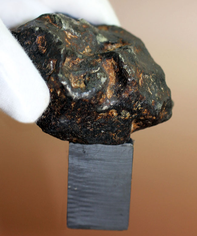 鉄隕石（Iron Meteorite）をコレクションしたい人に朗報！落下地点、落下年不詳ゆえ、お値打ち価格でのご紹介。（その9）