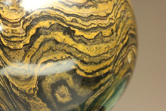 地球の歴史の元となったストロマトライトの化石(Stromatolite)（その17）