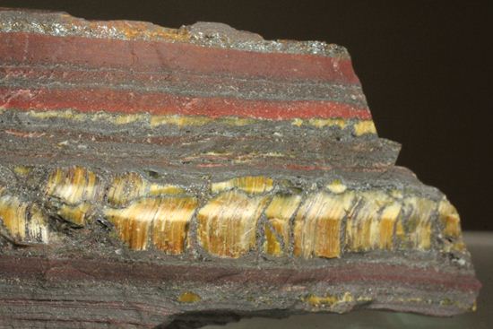 超レア！35億年前の黄金に光るストロマトライト(Stromatolite)（その3）