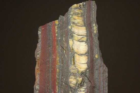 超レア！35億年前の黄金に光るストロマトライト(Stromatolite)（その6）