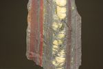 超レア！35億年前の黄金に光るストロマトライト(Stromatolite)