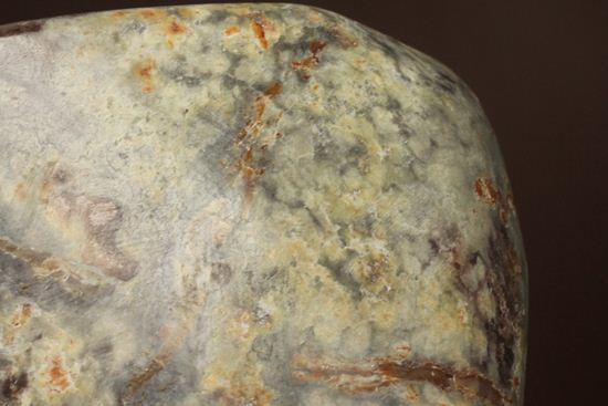 ポリッシュされた、多彩な色がみられる恐竜のウンチ化石(coprolite)（その7）