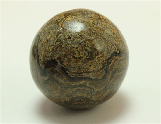 ストロマトライト（ ｓｔｒｏｍａｔｏｌｉｔｅ）画像