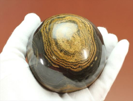 ５００ｇオーバー！ヘビー級サイズのストロマトライト(Stromatolite)（その6）