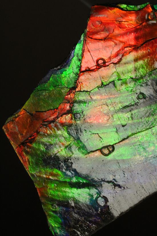これは宝石。完全７色スペクトルの模式標本。ピースタイプの標本として最高峰です。(Ammolite)（その17）