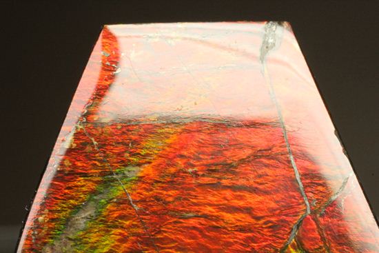 台形のフォルムをした綺麗な赤色アンモライト(Ammolite)（その4）