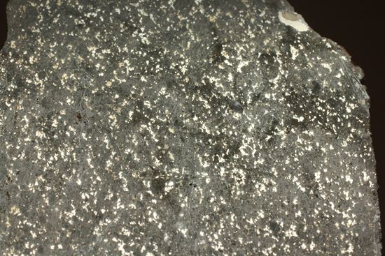 2009年にメキシコで発見された石質隕石　La Cienega（弊社売却品）