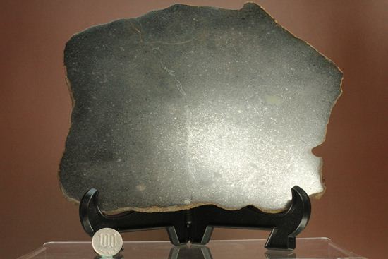 歴史的価値の高いプレミア標本！偉大な隕石コレクターのコレクション隕石　 （その14）