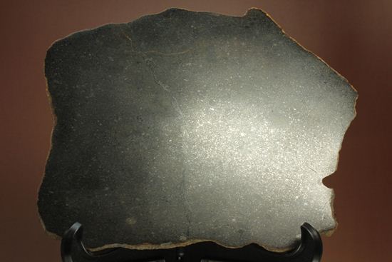 歴史的価値の高いプレミア標本！偉大な隕石コレクターのコレクション隕石　 （その4）