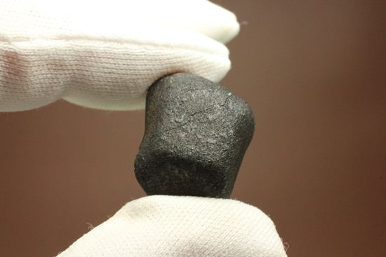 有名ハンター、スティーブ・アーノルドによって採取された隕石！2009年2月15日、テキサス州で発見！（その6）