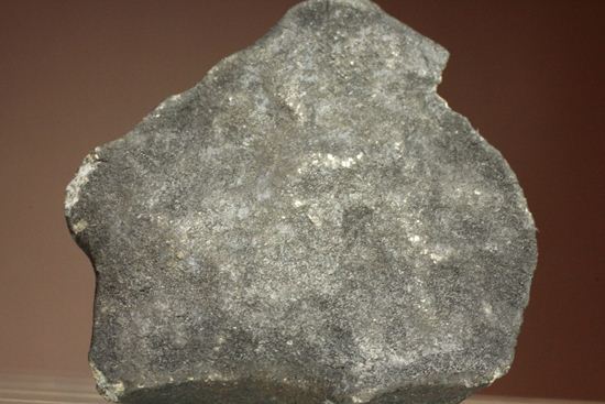 2007年夏に落下が目撃されている貴重な普通コンドライト隕石Chergach（その13）