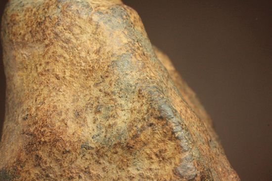 デカイ！重い！1960年、3月5日に落下した石質隕石GAO-GUENIE 隕石 販売