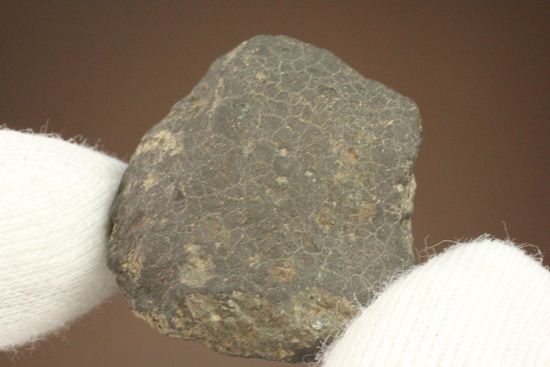 初めて隕石を入手したい方におすすめ！1969年2月8日、メキシコに落下した隕石　ALLENDE（その12）