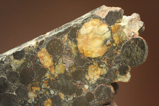 1984年4月3日に落下した、極めて珍しい金属に富んだ炭素質隕石（その13）