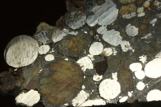 1984年4月3日に落下した、極めて珍しい金属に富んだ炭素質隕石（その6）