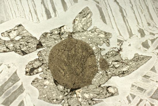 アメリカ合衆国、ニューメキシコサンタフェで見つかった幾何学模様隕石 GLORIETA MOUNTAIN（その9）