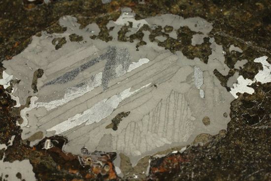 メソシデライト(Mesosiderite)の大型スライス標本