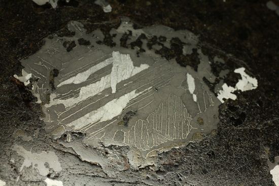 コレクターが憧れる標本！1879年5月10日に落下したメソシデライト隕石