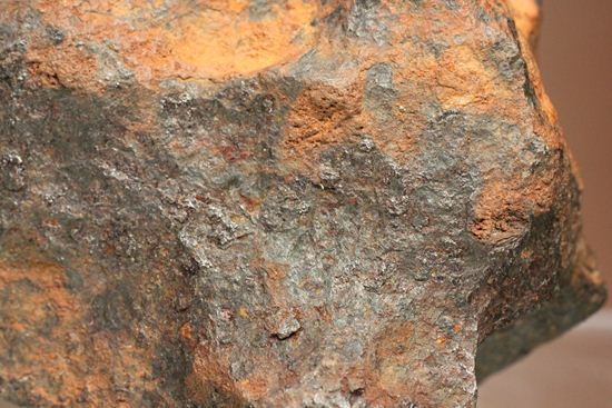 形状の美しさが際立つ、博物館級ヘンバリー鉄隕石(HENBURY)（その14）