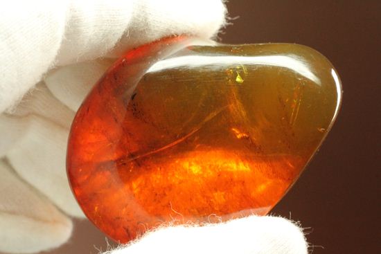 ドミニカの2000万年前の泡が閉じ込められた手のひらサイズ琥珀(Amber)（その2）