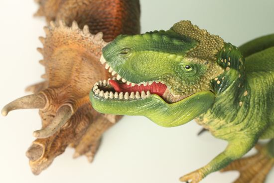 ティラノサウルスとトリケラトプス恐竜フィギュア2体セット(本物化石1個付き)(その19)