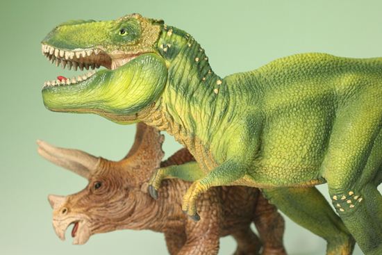 ティラノサウルスとトリケラトプス恐竜フィギュア2体セット（本物化石1個付き）（その2）