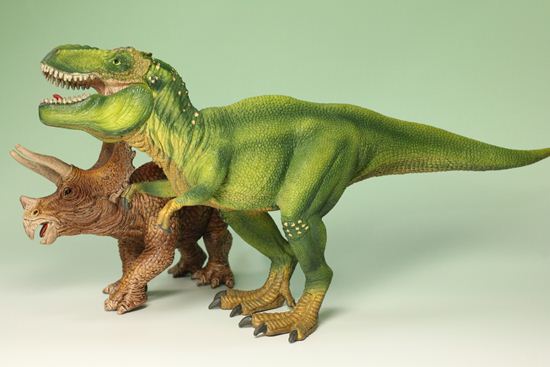 ティラノサウルスとトリケラトプス恐竜フィギュア2体セット(本物化石1個付き)(その3)