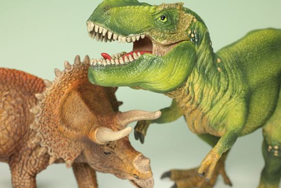 ティラノサウルスとトリケラトプス恐竜フィギュア2体セット(本物化石1個付き)(その7)
