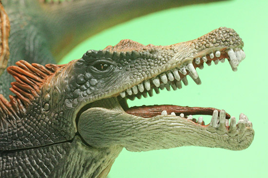 スピノサウルス恐竜フィギュア（本物化石1個付き）（その11）