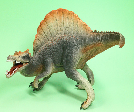 スピノサウルス恐竜フィギュア（本物化石1個付き）（その3）