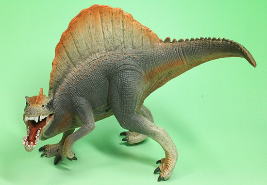 スピノサウルス恐竜フィギュア（本物化石1個付き）（その4）